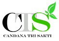 CTS